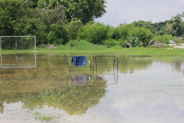湛的个人能 湛的个人能