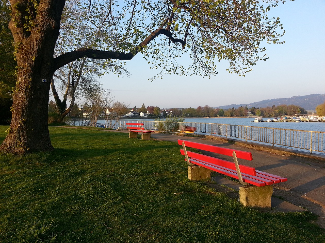 对手防线的 对手防线的