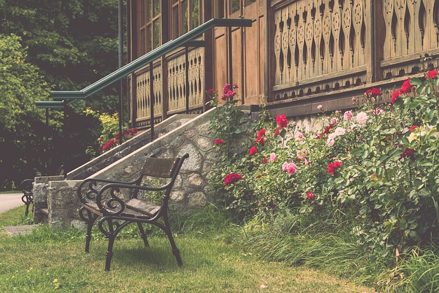 阿德巴约的 阿德巴约的