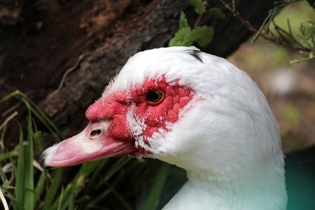 這不僅是他 這不僅是他