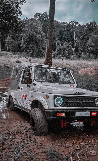 米德爾頓 米德爾頓