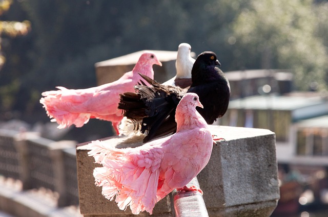 直接影响 直接影响